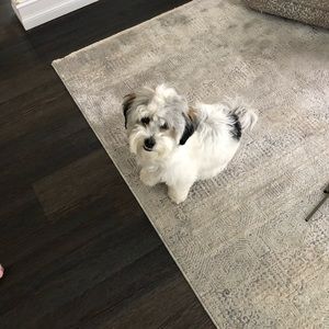 Meet your Posher, Lori